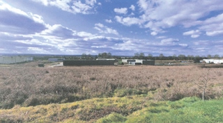 Local d'activité Grisolles 900 m²