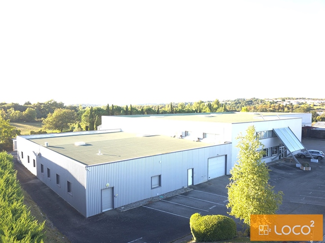 Location local d'activité