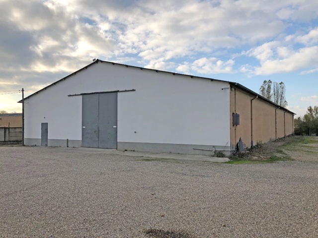 Entrepôt à louer SAINT-ALBAN