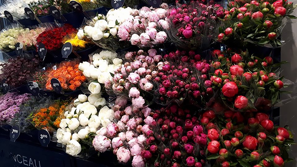 LOCO² installe MONCEAU FLEURS à Beauzelle !