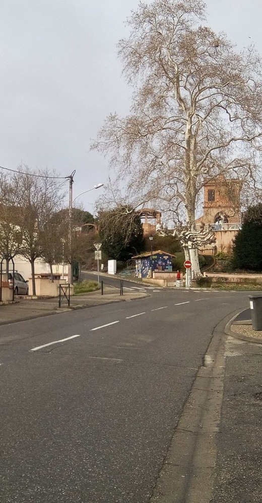 Location de bureau à Villeneuve-Tolosane (31270)